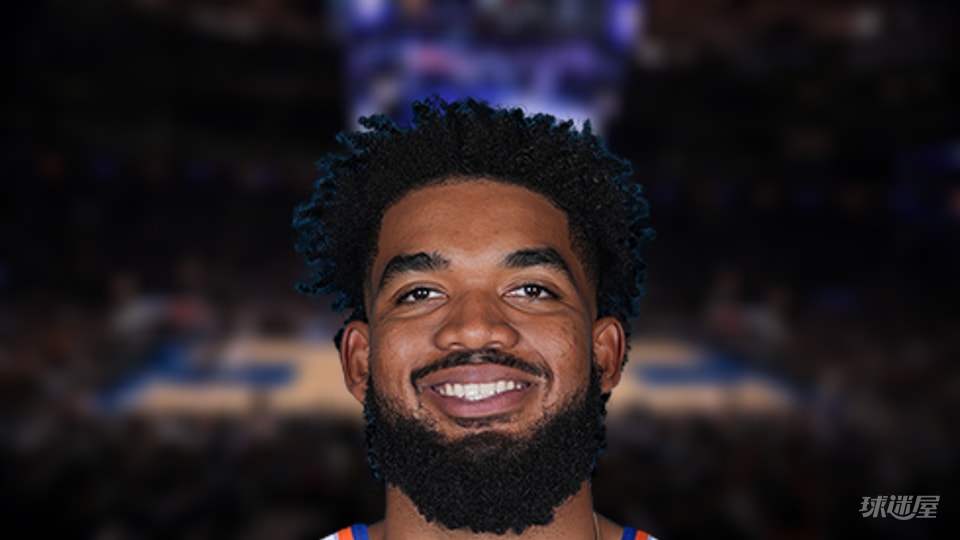 NBA每日篮板王:卡尔-安东尼·唐斯13篮板(2026年05月22日)
